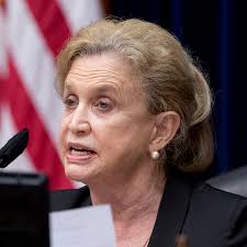 Disputed Ballots Must Be Counted in N.Y. Congressional Race, U.S. Judge  Rules