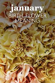 Birth Flowers For Each Month Find Out Your Birth Month Flower And The Meaning Behind It In 2020 Birth Month Flowers Month Flowers Fall Container Gardens