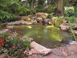 Best wood deck builders in miami and fort lauderdale. Florida Fish Pond Contractor Builder Design Installations Florida Pond Contractor Services