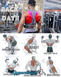 pin by franz gerlach on tipps best workout routine back exercises workout routine for men