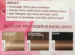 Loreal Preference Hair Dye Instructions