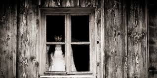 Berikut ini 6 cerita seram hantu indonesia di antaranya hantu mister gepeng, cerita hantu nyata, dan kkn desa penari. Cerita 4 Kutukan Seram Yang Terbongkar Kebenarannya Oleh Sains Merdeka Com