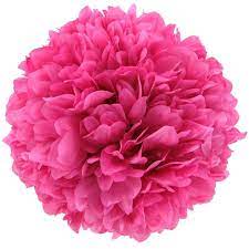 Plus your entire music library on all your devices. Hot Pink Hanging Mum Ball Hobby Lobby 104064