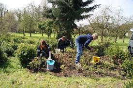 Gartenbau Agrarwirtschaft Abteilungen Bildung Elisabeth Selbert Schule