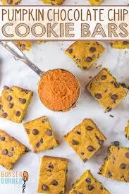Pumpkin Chocolate Chip Cookie Bars Recipe Pumpkin Chocolate Chip Cookies Chocolate Chip Cookies Pumpkin Chocolate