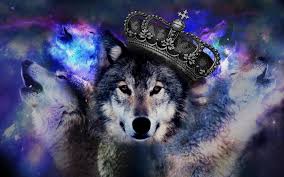 Sie sind auf der suche nach einem iphone x wallpaper? Wolf Wallpapers 3d Wallpaper Cave