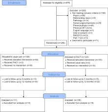 Our staff includes physical therapists, physical therapist assistants, and supportive staff, for a total of thirty patient care providers. Physical Therapy Informed By Acceptance And Commitment Therapy Pact Versus Usual Care Physical Therapy For Adults With Chronic Low Back Pain A Randomized Controlled Trial The Journal Of Pain
