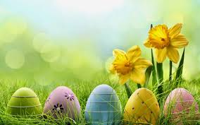 Dieser wird automatisch markiert und du kannst ihn direkt kopieren und ins gästebuch oder auf der gewünschten seite einfügen. Fruhling Mit Farbige Ostereier Im Gras Mit Gelben Blumen Hd Ostern Wallpaper Jeffs Blog Welt