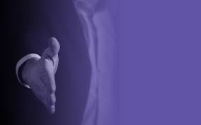 acero Financial : Purchase Order Financing