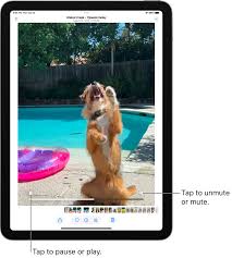 View photos and videos on iPad - Apple Support