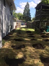 Maybe you would like to learn more about one of these? Lawn Renovation Naperville Il Core Aeration In Naperville Dethatching