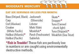 Fish And Mercury What You Need To Know Mercury In Fish Fish Facts
