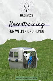 Boxentraining Hunde Anleitung Fur Dich Und Deinen Hund Im Podcast Box Hundebox Hund Hundetraining Hundetrainer Hundetrainer Training Hunde Hundetraining