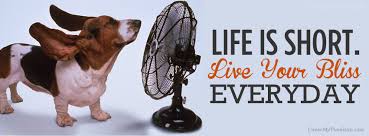 Quote - Life Is Short. Live Your Bliss, Everyday | Free Facebook ... via Relatably.com