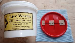 Vermicomposting, or worm composting, employs worms and other decomposing microorganisms such as molds, fungi and bacteria to convert food scraps into. How To Make A Fishing Bait Bucket For Worms Worms For Worm Farms Education