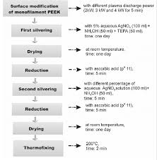 Process Flow Chart For Silver Coating Of Plasma Modified