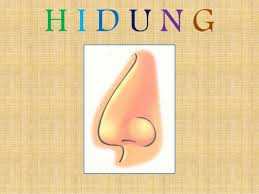 Berikut ini adalah beberapa gambar tato ful badan. Mengenal Anggota Tubuh