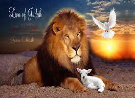 We did not find results for: Amazon Com Lion Of Judah Worship Flag M Quill 45 X35 Flexible Flow Rod Single 1 Flag Handmade