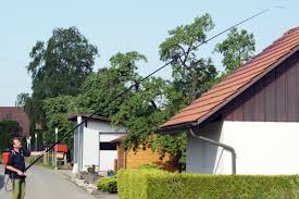 Lance Telescopique Xl8 S