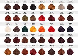 28 albums of ppc hair colour chart explore thousands of