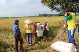 Ekonomi Desa Sanggra Agung