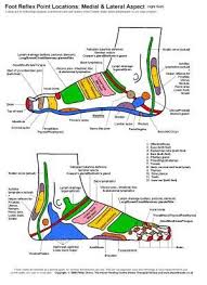 Reflexology Foot Chart Lateral View Foot Reflexology