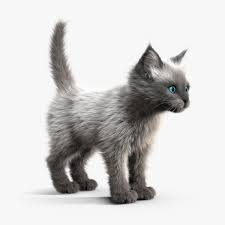 Kitten White 3d Model Ad Kitten White Model Kitten Cats 3d Model