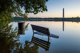 the tidal basin is one of america's