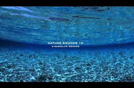 Nature Sound 10 The Most Relaxing Sounds