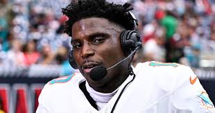 Residents Warned After Coyote Spotted In Pembroke Pines Neighborhood