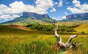 Tripadvisor has 181,466 reviews of venezuela hotels, attractions, and restaurants making it your best venezuela resource. Beste Reisezeit Und Klima Fur Venezuela