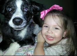 UPDATE ‼️‼️ HE IS AT THE LEE COUNTY ANIMAL SHELTER Male dog found wondering  around the corner of Hugh Rd. & Fussell in Leesburg, GA. No collar- looks  like a Blue Heeler