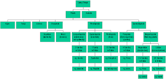 juniors how plants are classified