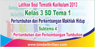 Dengan adanya penerapan kurikulum 2013, beberapa materi mengalami pengelompokan berdasarkan tema. Soal Tematik Kelas 3 Sd Tema 1 Subtema 4 Pertumbuhan Dan Perkembangan Tumbuhan Dilengkapi Kunci Jawaban Bimbel Brilian