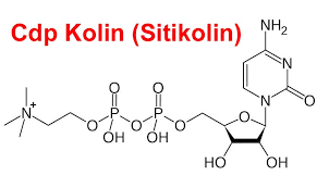Cdp Kolin Sitikolin Nedir Bilimsel Supplement Incelemeleri Kullanimi Dozaj Yan Etkileri