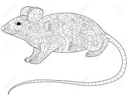Download Rat Animal Coloring Book For Adults Raster Illustration Anti Stress Stock Photo Picture And Royalty Free Image Image 88144861