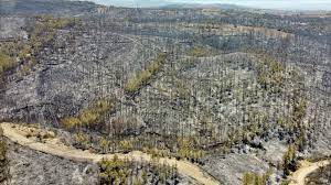 Jun 20, 2021 · sultangazi'de yangın: Ystq7vafdfvjtm