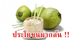 ผลการค้นหารูปภาพสำหรับ น้ำมะพร้าว