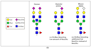 Abberior offers highly innovative superresolution microscopes and labels designed. Biomedicines Free Full Text Immunoglobulins Or Antibodies Imgt Bridging Genes Structures And Functions Html