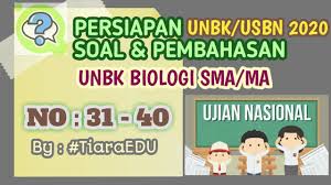 Pprediksi soal un matematika sma 2020 link akan segera kita share beserta prediksi soal un bahasa indonesia sma 2020. Prediksi Soal Unbk Usbn Biologi Sma Ma Tahun 2020 Beserta Penjelasanya No 31 40 Tiaraedu Unbk2020 Youtube