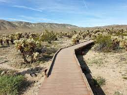 Tips For Visiting Joshua Tree National Park Op Reis Met Co