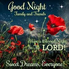 pin by tipu man on goodnight posts blessed night good night family good night blessings