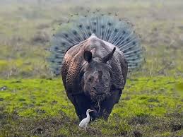 From micro piglets to polar bears, see the world's most adorable baby animals this year. Funny Animal Pictures Taken At The Perfect Time