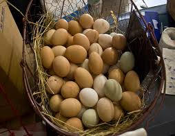 Dua telur rebus dan satu buah jenis apapun. Apa Bedanya Telur Ayam Kampung Dan Negeri
