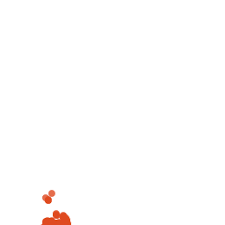 Image result for Orthopichonia barteri