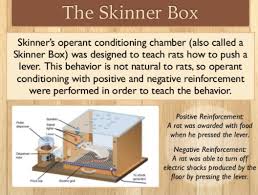 Operant Conditioning Units 3 4 Psychology