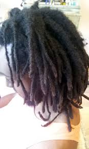 Which Dread Methods To Avoid Divine Dreadlocks Divine Dreadlocks