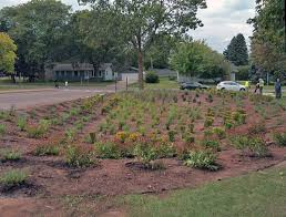 Rca's pilot program offers funding and technical assistance to install a rain garden on qualifying residential properties in the city of charlottesville. Crossing The Finish Line Completing School Rain Gardens Ramsey Washington Metro Watershed District