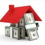 Image result for big tree ohana llc