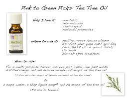 Tea Tree Oil Tea Tree Oil Tea Tree Oils